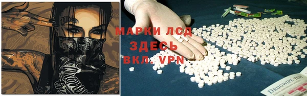 ECSTASY Алзамай