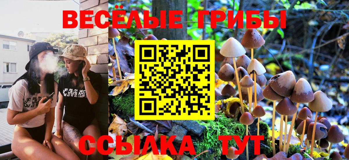 Псилоцибиновые грибы GOLDEN TEACHER Магнитогорск