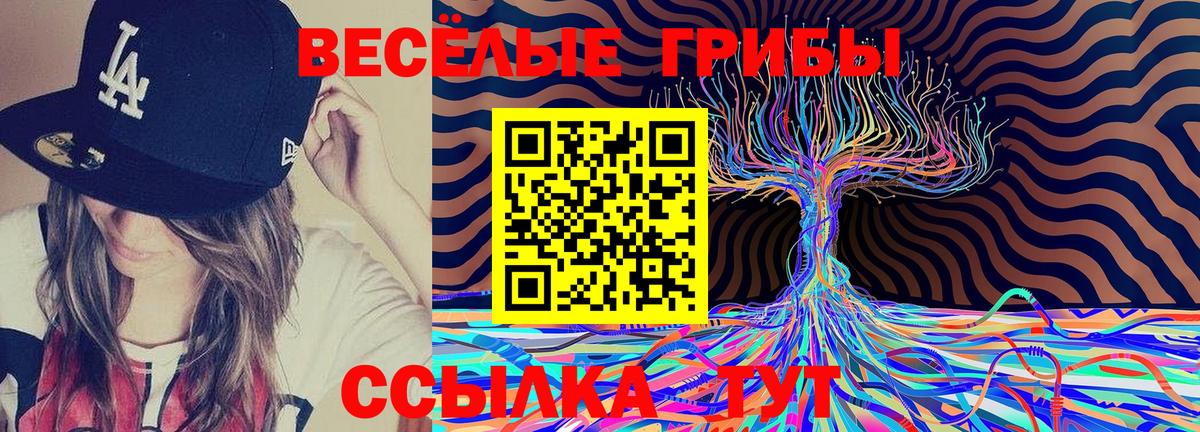 Галлюциногенные грибы Psilocybe  Вход с VPN  Магнитогорск 